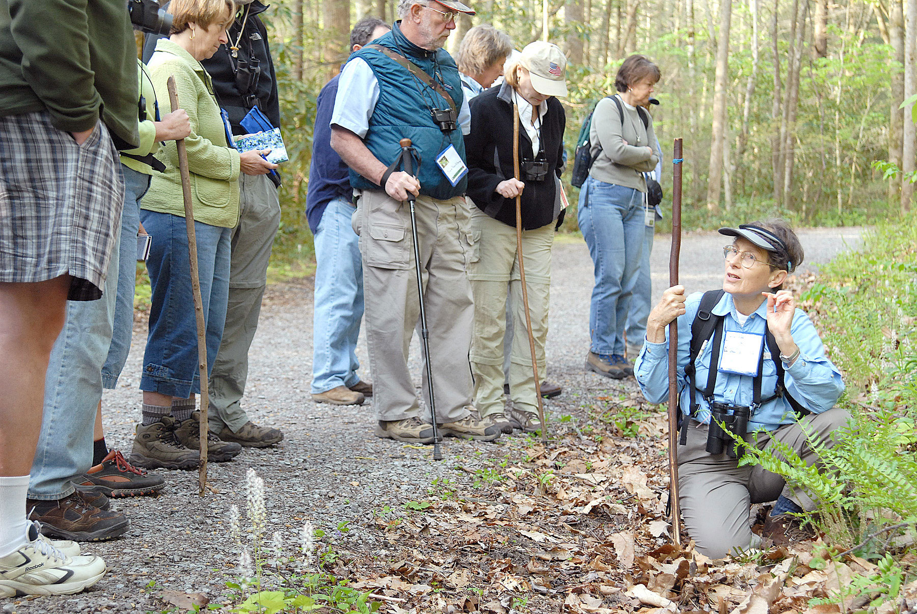 For more than seven decades, the Spring Wildflower Pilgrimage in Great Smoky Mountains National Park has brought participants into the park to experience the wonders of spring in the Smokies and learn about the natural world from leading experts. The 73rd Annual Spring Wildflower Pilgrimage will be April 26–29, 2023. Photo provided by Spring Wildflower Pilgrimage.