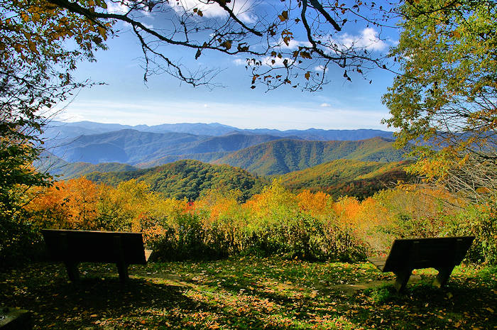 scenic overlook behind Heintooga picnic area