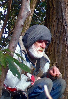 Wild man of cataloochee