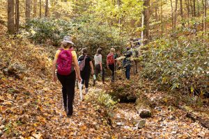 The Great Smoky Mountains Institute at Tremont is known for weaving natural history and science into its programming. At the Tremont Writers Conference, certified naturalist guides will lead conference participants on afternoon hikes to see the flora and fauna of the Smokies. Image provided by Michele Sons.