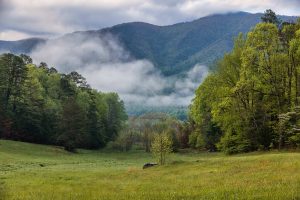 Cades Cove in spring. Photo by Reggie Tidwell.