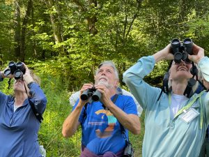 Birders peer into the treetops during a Smokies Life Members Weekend event in September 2022. Photo provided by Valerie Polk/Smokies Life.