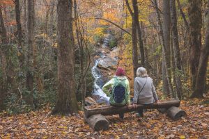 Writers visiting Tremont can easily access the Middle Prong Trail, a wild setting that likely inspired people to set pen to paper long before Tremont existed as an outdoor school and education center. Image provided by Michele Sons.