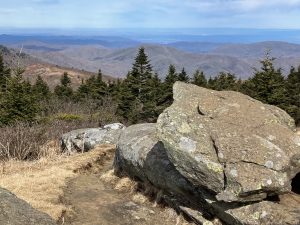 The Sisters agreed this hike, which led to a view from Grassy Ridge near Roan Mountain, was their favorite of the 100. Photo provided by Anne Glover.