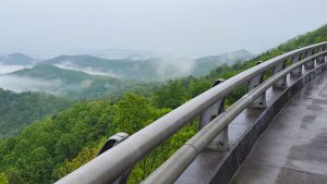 Mist and varied shades of green stretch as far as the eye can see from the western section of the Foothills Parkway near Look Rock. Wildflowers and blooming rhododendrons can often be found lingering for weeks longer at higher elevations as spring proceeds from the lowlands to the ridgetops. Photo provided by Russell Heenie. 