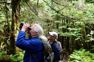 Group leader Keith Watson tries to catch a golden-crowned kinglet in his binoculars’ field of view. Photo provided by Holly Kays, Smokies Life. 