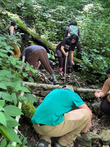 Deeya Khambhaita, a sophomore at Francis Marion University in South Carolina, and other students in the Comparative Temperate–Tropical Ecology and Biogeography course search for salamanders in the Nantahala National Forest near Franklin, North Carolina. Photo by Travis Knowles.