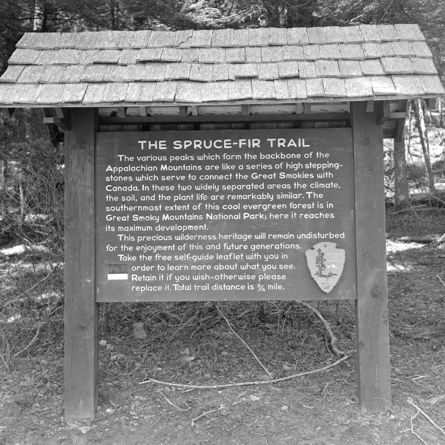 The temperatures on the Spruce-Fir Trail are always a good deal cooler than they are at the lower elevations in the park, which makes this trail a nice change of pace in the summer. Photo courtesy of NPS.