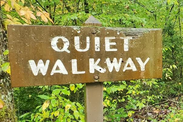 As you drive on the park’s roads, you’ll see several small signs that say “Quiet Walkway”. These easy and short trails are a great way to get a taste of what it’s like being in the woods and surrounded by nature if you have limited time or energy. Photo courtesy of GSMNP.