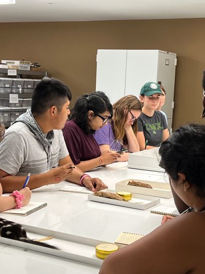 Deeya Khambhaita and other students examine the preserved species collections at Twin Creeks Science and Education Center in Great Smoky Mountains National Park as part of their Comparative Temperate–Tropical Ecology and Biogeography coursework. Photo by Travis Knowles.