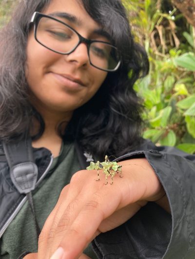 At Wildsumaco Biological Station in Ecuador, Deeya Khambhaita admires an insect that epitomizes the concept of crypsis, the ability of an organism to conceal itself from predators by having a color, pattern, or shape that allows it to blend into the surrounding environment. Photo by Frances Figart.