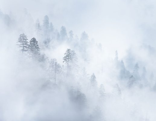 Fog dances amongst the hemlock and spruce trees along a ridgeline in the upper elevations of the park, as seen from Morton Overlook. Canon EOS 5DMkIII + Canon EF 70-200mm f/2.8 L IS II USM at 200mm, f/11, 1/350s, ISO400. Provided by Michele Sons.